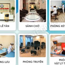 https://phongkhambenhtri.vn/wp-content/uploads/2024/09/khamnamkhoahanoi313-e1727671736219-250x250.jpg