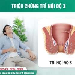 https://phongkhambenhtri.vn/wp-content/uploads/2024/09/tri-do-3k-250x250.jpg
