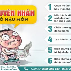 https://phongkhambenhtri.vn/wp-content/uploads/2024/10/nguyen-nhan-ro-hau-mon-250x250.jpg