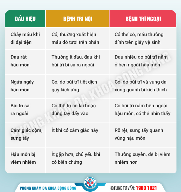 Phân Biệt Trĩ Nội Trĩ Ngoại: Trải Nghiệm Từ Người Bệnh Từng “Sống Chung Với Trĩ”